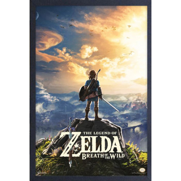 LOZ Breath of the Wild Hyrule Landscape 11
