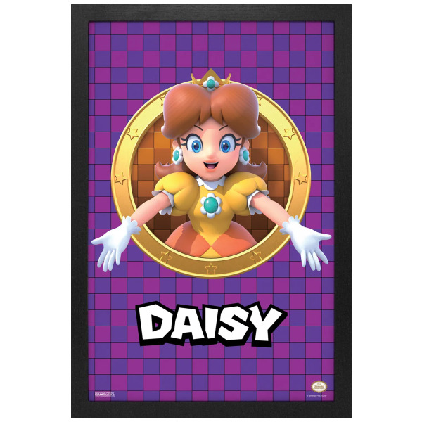 3D Port Daisy Super Mario 11"X17" Framed Print