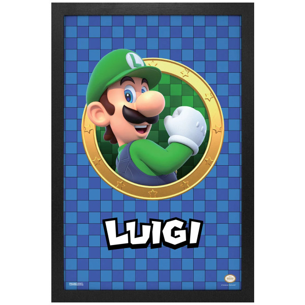 3D Port Luigi Super Mario 11"X17" Framed Print