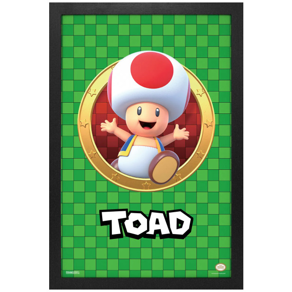 3D Port Toad Super Mario 11"X17" Framed Print