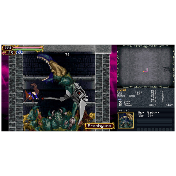 Alternative view of Castlevania Dominus Collection (Order of Ecclesia) - Switch