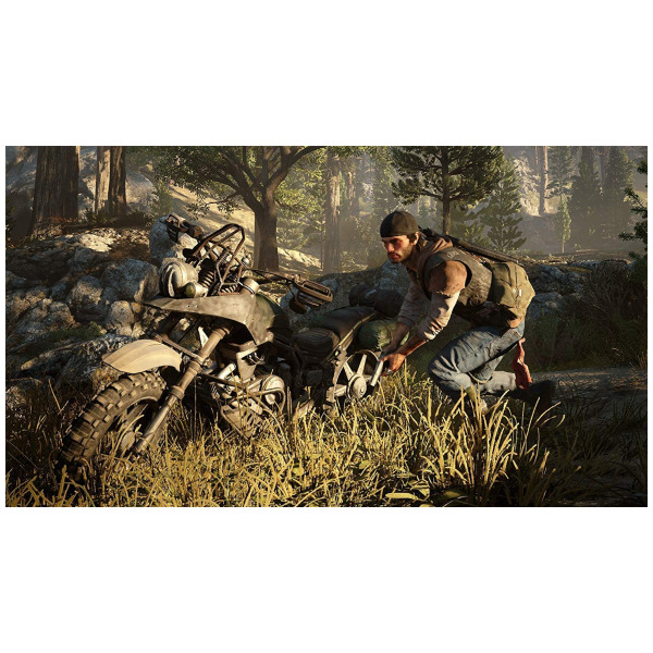 Alternative view of Days Gone - PlayStation 4 PS4