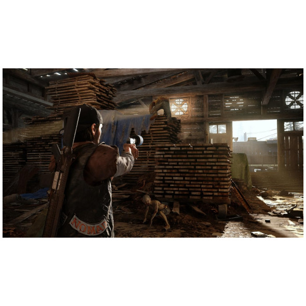 Days Gone - PlayStation 4 PS4 - Image 6