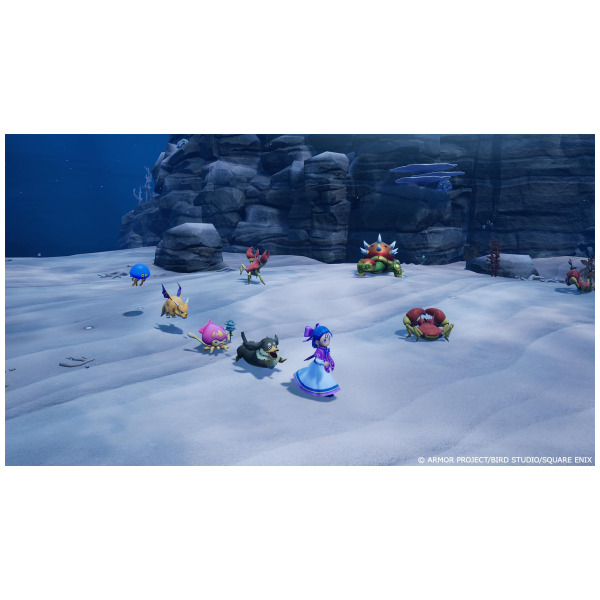 Dragon Quest Monsters The Withered World - Switch PREORDER - ESTIMATED SHIP DATE DEC 3 2026 - Image 7