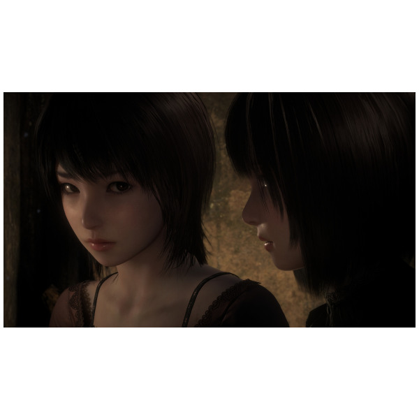 Life Frame Ii Fatal Frame II Crimson Butterfly REMAKE (Game-Key Card) - Switch 2 ...