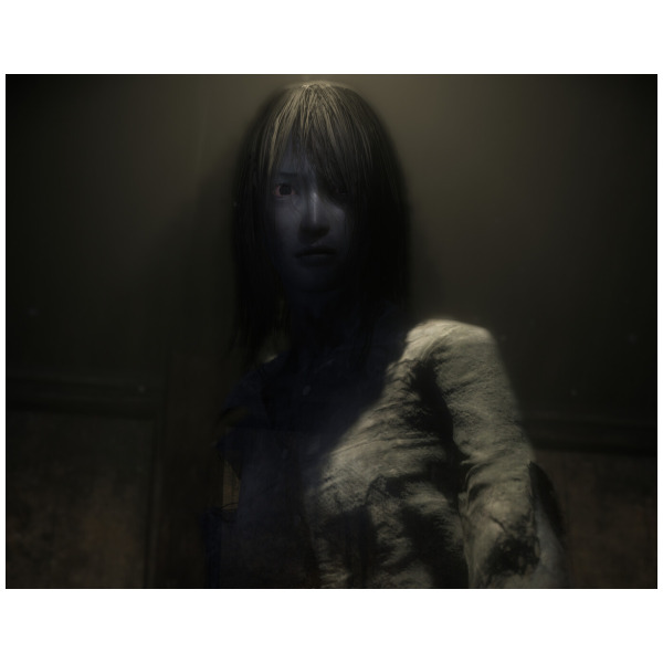Life Frame Ii Fatal Frame II Crimson Butterfly REMAKE (Game-Key Card) - Switch 2 ...