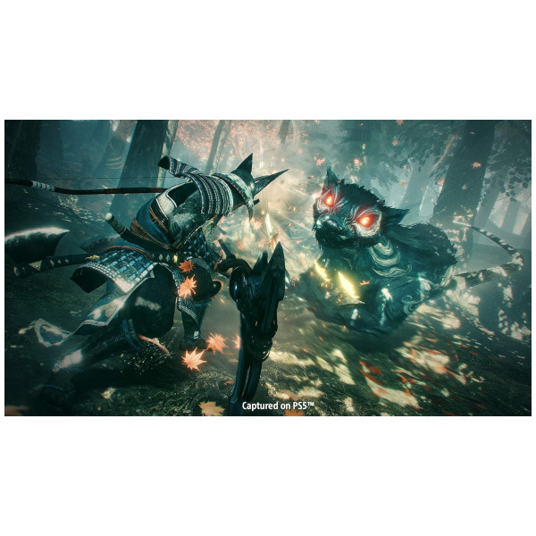 NIOH 1 & 2 Special Édition neuf PS4 EUR 39,90 - FR