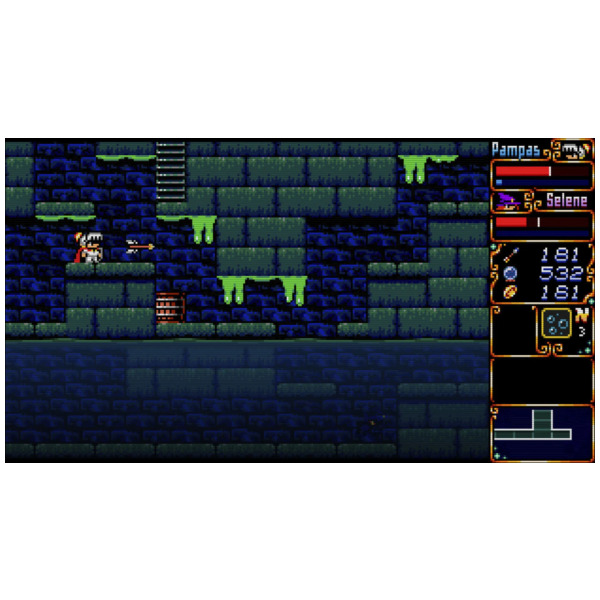 Pampas & Selene (EU) - Switch - Image 5
