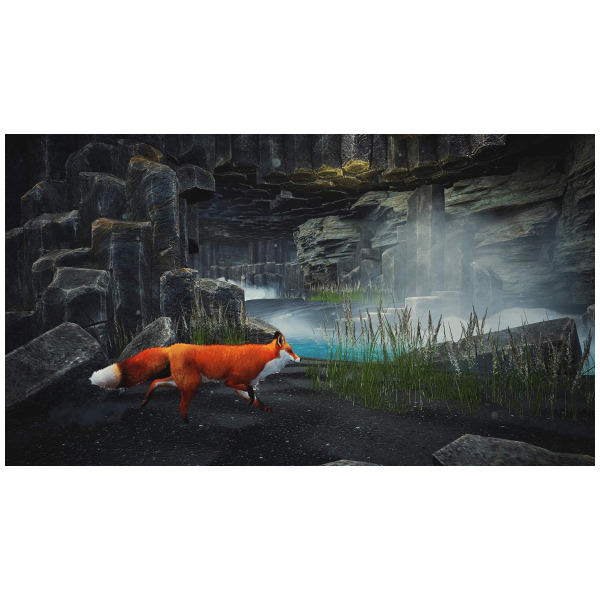 Alternative view of Spirit of the North - PlayStation 5 PS5