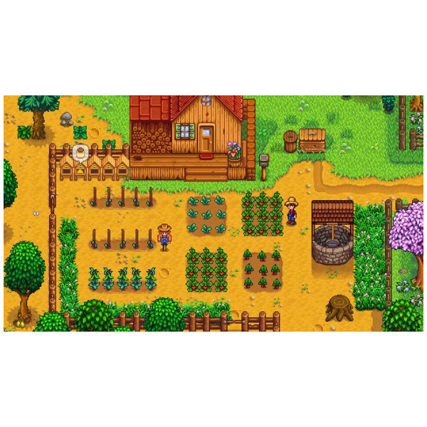 Alternative view of Stardew Valley - Switch