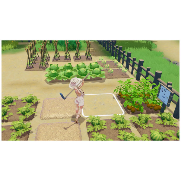 Alternative view of Starsand Island (JPIM) (Multi-Language) - Switch 2 PREORDER - ESTIMATED SHIP DATE AUG 20 2026
